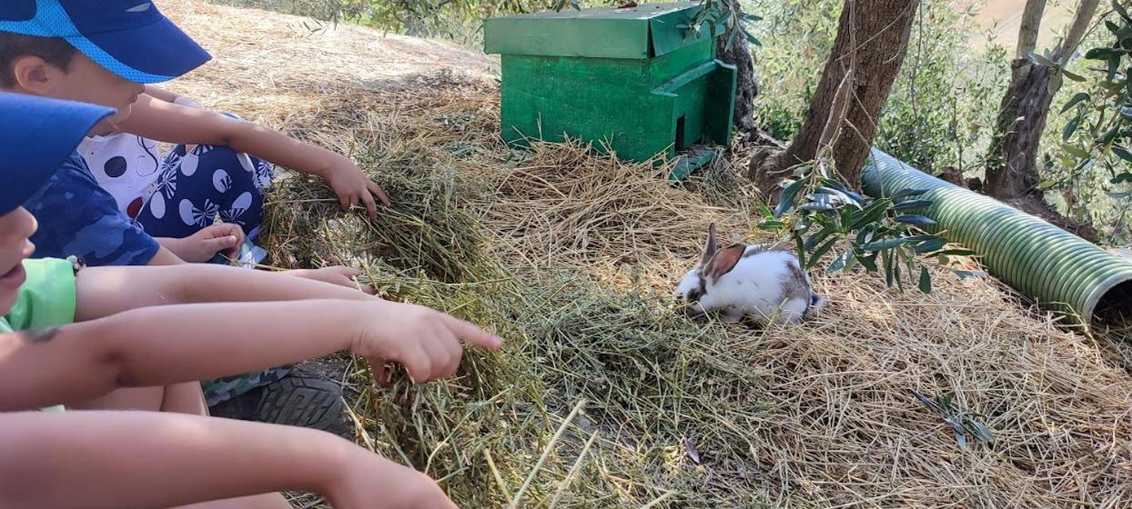 Agriturismo Biofattoria L'Upupa Montalcino Eksteriør bilde