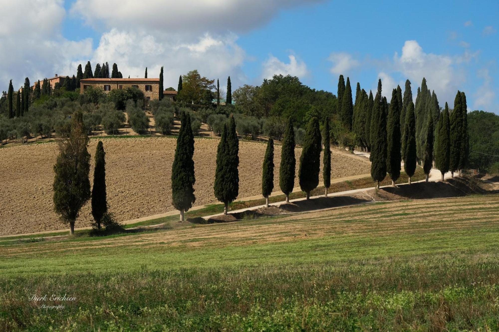 Agriturismo Biofattoria L'Upupa Montalcino Eksteriør bilde
