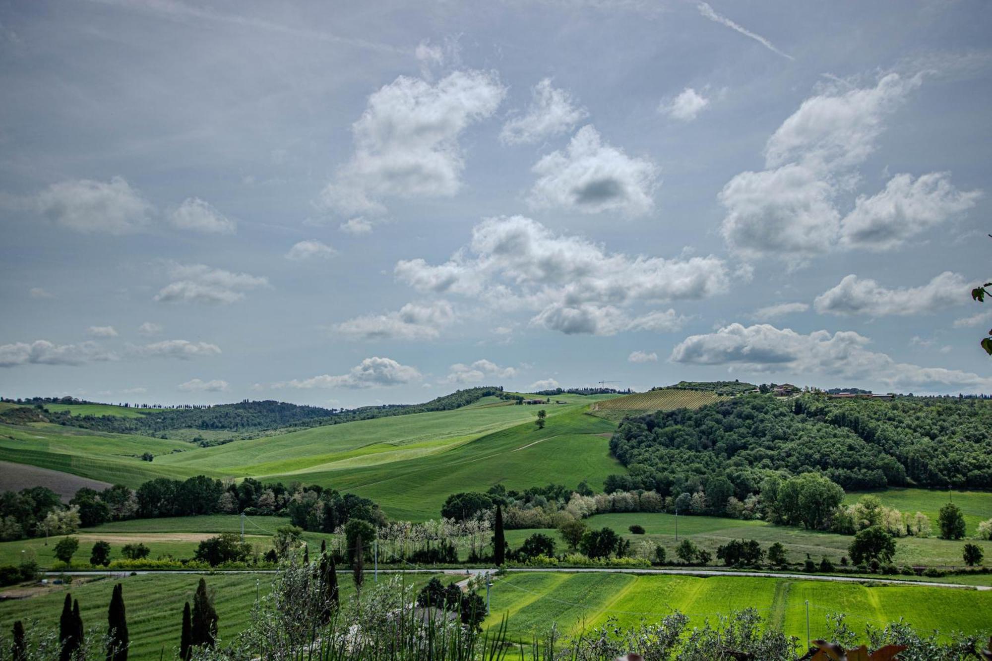 Agriturismo Biofattoria L'Upupa Montalcino Eksteriør bilde