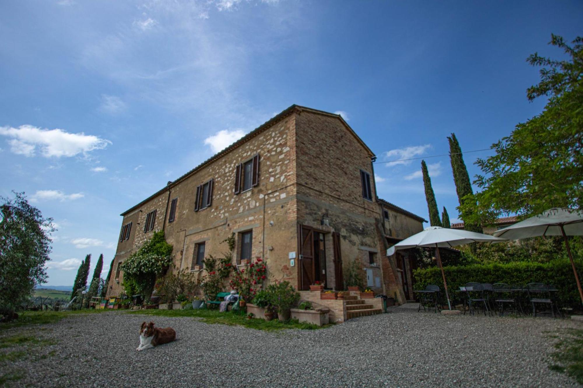 Agriturismo Biofattoria L'Upupa Montalcino Eksteriør bilde